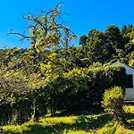Challet Miradouro Do Vale Furnas (Azores)