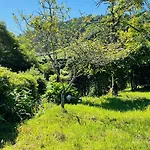 Villa Challet Miradouro Do Vale Furnas (Azores)