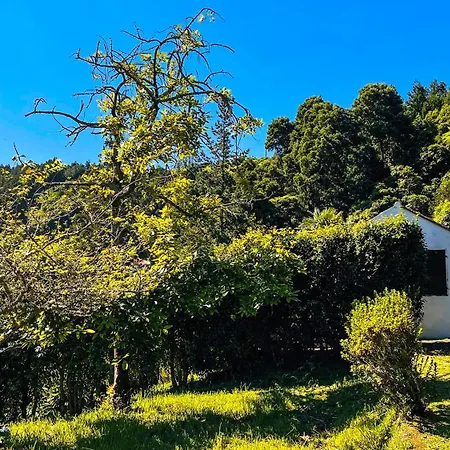 Challet Miradouro Do Vale Furnas (Azores)