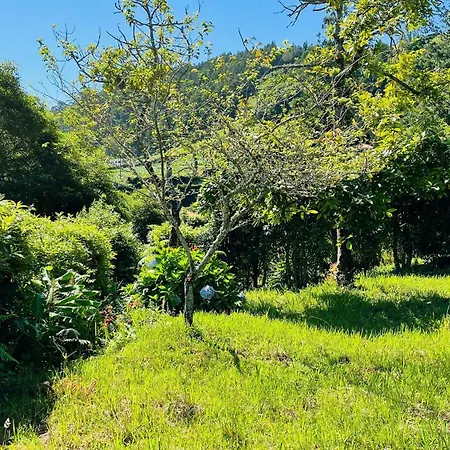Villa Challet Miradouro Do Vale Furnas (Azores)