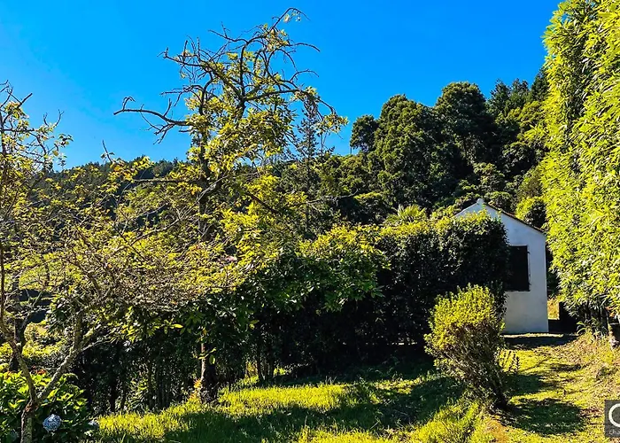 Challet Miradouro Do Vale Furnas (Azores)